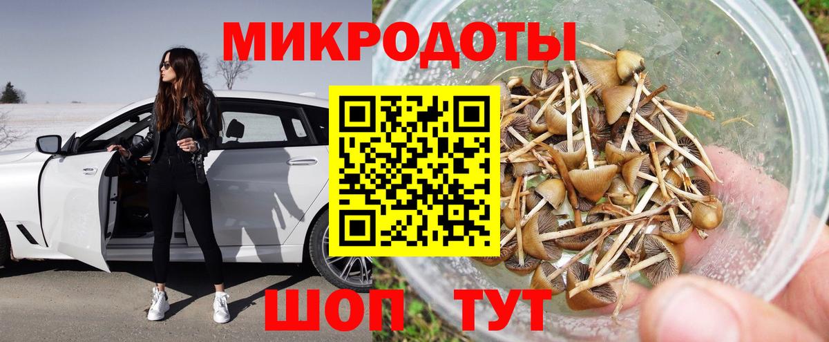 Псилоцибиновые грибы GOLDEN TEACHER  Вход с VPN  продажа наркотиков  Североуральск 
