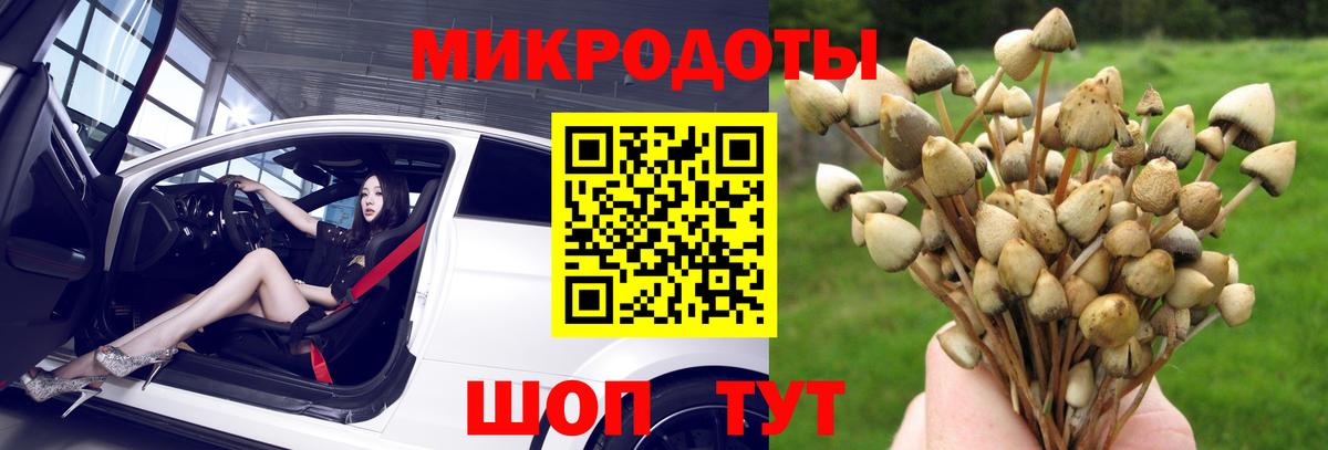 Псилоцибиновые грибы Cubensis Североуральск